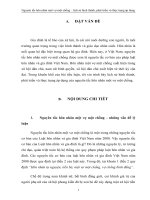 Nguyên tắc hôn nhân một vợ một chồng lịch sử hình thành, phát triển và thực trạng áp dụng 