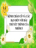 PP  TIẾNG VIỆT THỰC HÀNH
