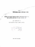 công cụ trong phân tích độ nhạy và đo lường rủi ro của dự án đầu tư 