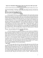khảo sát tình hình bệnh Viêm Não Nhật Bản trên huyện Gia Lâm  Hà Nội
