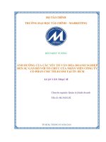 ảnh hưởng của các yếu tố văn hóa doanh nghiệp đến sự gắn bó với tổ chức của nhân viên công ty cổ phần cmc telecom tại tp  hcm