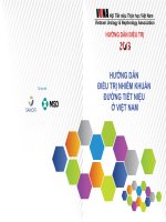 HƯỚNG DẪN ĐIỀU TRỊ NHIỄM KHUẨN ĐƯỜNG TIẾT NIỆU Ở VIỆT NAM