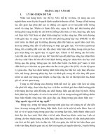 Xây dựng hệ thống câu hỏi  theo định hướng phát triển năng lực học sinh trong chủ đề “các cuộc kháng chiến, khởi nghĩa chống ngoại xâm từ thế kỷ x đến thế kỷ XV 