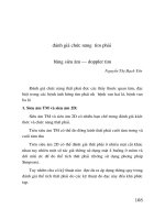 SA tim đánh giá chức năng tim phải