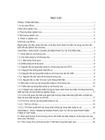 Pháp luật về tự vệ thương mại và thực tiễn áp dụng tại việt nam