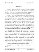 Các giải pháp nhằm nâng cao hiệu quả sử dụng vốn lưu động tại Tổng công ty May 10