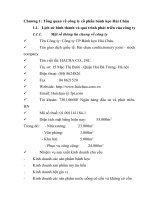 Phân tích khả năng cạnh tranh của công ty cổ phần bánh kẹo hải châu 