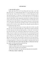 Hoàn thiện phân tích tài chính Ngân hàng Đầu tư và Phát triển Việt Nam