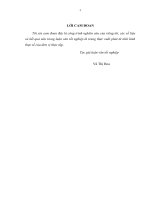 Vốn kinh doanh và giải pháp nâng cao hiệu quả sử dụng vốn kinh doanh của công ty TNHH Liên Sơn