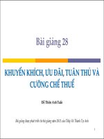 Bài giảng 28  khuyến khích, ưu đãi, tuân thủ và cưỡng chế thuế   đỗ thiên anh tuấn