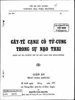 Gây tê cạnh cổ tử cung trong sự nạo thai 