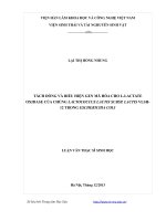Tách dòng và biểu hiện gen mã hóa cho l lactate oxidase của chủng lactococcus lactis subsp  lactis VLSH 12 trong escherichia coli 