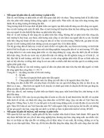 Mối quan hệ giữa dân số, môi trường và phát triển