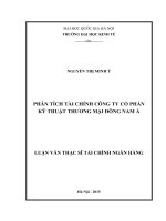 Phân tích tài chính công ty cổ phần kỹ thuật thương mại đông nam á 
