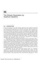 22 The Stokes Parameters for Quantum Systems