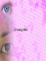 bài giảng về Lỗ hoàng điểm