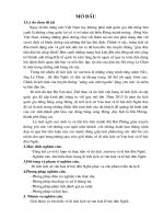 Nghiên cứu ,tìm hiểu thực trạng di tích lịch sử văn hoá và lễ hội đền nghè 