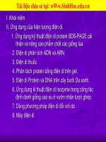 kỹ thuật điện di protein, I khái niệm