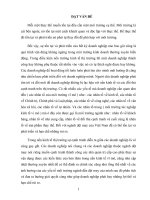 Phân tích đối thủ cạnh tranh và đề xuất chiến lược mở rộng thị trường tiêu thụ của công ty may đức tiến 