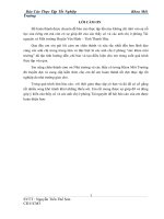 THỰC TRẠNG  ô NHIỄM môi TRƯỜNG LÀNG NGHỀ tại VĨNH PHÚC 