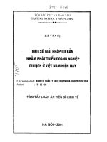 Một số giải pháp cơ bản nhằm phát triển doanh nghiệp du lịch ở việt nam hiện nay 
