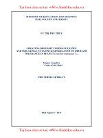 CREATING DROUGHT TOLERANCE LINES  AND ISOLATING CYSTATIN GENES RELATED TO DROUGHT TOLERANCE IN PEANUT (Arachis hypogaea L.)