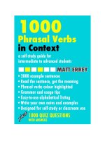 1000 phrasal verbs in context