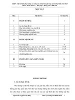 Một số biện pháp nâng cao công tác xã hội hóa giáo dục tại trường Mầm non Bình Minh – Buôn Tuôr A   Dray Sáp  Krông Ana  Đăk Lăk