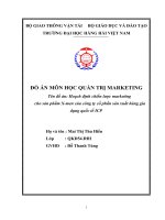 Hoạch định chiến lược marketing cho sản phẩm x men của công ty cổ phần sản xuất hàng gia dụng quốc tế ICP 