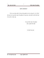 Giải pháp nâng cao hiệu quả huy động vốn tại Ngân hàng TMCP Ngoại thương Việt Nam – chi nhánh Hà Nội