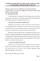 Giải pháp marketting nhằm đẩy mạnh tiêu thụ sản phẩm của công ty cổ phần dịch vụ thương mại đầu tư thái anh 