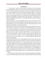 Nâng cao hiệu quả công tác quản lý tài chính tại công ty cổ phần công nghệ biển việt nam 