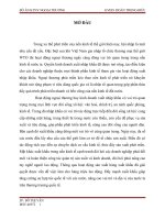 Lập phương án xuất khẩu mặt hàng chè vào thị trường mĩ  