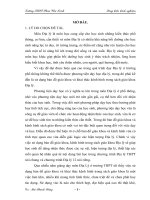 SKKN sử dụng bản đồ giáo khoa và kênh hình trong dạy học địa lí 12