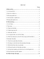 MỘT SỐ BIỆN PHÁP CHỈ ĐẠO NÂNG CAO CHẤT LƯỢNG PHÁT TRIỂN NGÔN NGỮ CHO TRẺ 56 TUỔI TRƯỜNG MẦM NON KRÔNG ANA