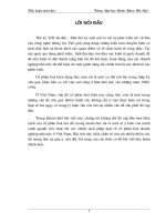 Tiểu Luận Thực Trạng Và Giải Pháp Cổ Phần Hóa Các Doanh Nghiệp Nhà Nước Ở Việt Nam