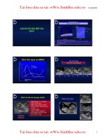 CÁCH ĐO ĐỘ MỜ DA GÁY