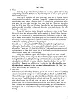 Thực trạng môi trường và công tác cấp giấy xác nhận cam kết bảo vệ môi trường trên địa bàn huyện Thạch Hà, tỉnh Hà Tĩnh