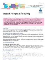 Insulin và bệnh tiểu đường