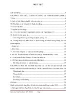 Phân tích tình hình thực hiện các chỉ tiêu kết quả sản xuất kinh doanh, tình hình tài chính của công ty TNHH hanmiflexible vina năm 2015 