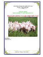 Thuyết minh báo cáo đầu tư xây dựng dự án trại lợn giống và lợn thịt siêu nạc