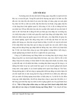 Một số biện pháp nhằm nâng cao hiệu quả kinh doanh nhập khẩu linh kiện điện tử của công ty cổ phần thương mại hùng minh  