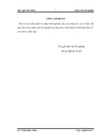 Các giải pháp chủ yếu nhằm tăng cường quản trị vốn lưu động tại công ty TNHH thiết bị viễn thông ANSV