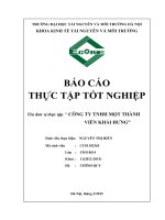 BÁO cáo THỰC tập tại CÔNG TY TNHH một THÀNH VIÊN KHẢI HƯNG