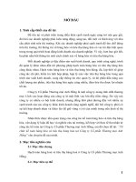 Tổ chức kế toán hàng hóa và tiêu thụ hàng hóa tại công ty cổ phần thương mại anh hồng 