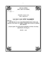 LỢI NHUẬN VÀ CÁC GIẢI PHÁP PHẤN ĐẤU TĂNG LỢI NHUẬN TẠI CÔNG TY TNHH CƠ ĐIỆN ĐO LƯỜNG TỰ ĐỘNG HÓA DKNEC
