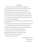 Đánh giá kết quả thực hiện đề án xây dựng nông thôn mới tại xã đồng tháp, huyện đan phượng, thành phố hà nội