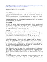 12 giá trị sống do liên hiệp quốc đưa ra