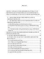 HOÀN THIỆN HOẠT ĐỘNG KIỂM SOÁT nội bộ tại CÔNG TY cổ PHẦN đầu tư SXTM TRƯỜNG sơn 
