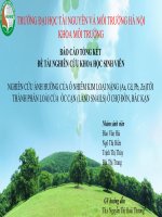 SLIDE NGHIÊN cứu ẢNH HƯỞNG của ô NHIỄM KIM LOẠI NẶNG (as, cd, pb, zn)tới THÀNH PHẦN LOÀI của  ốc cạn (LAND SNAILS) ở CHỢ đồn, bắc kạn